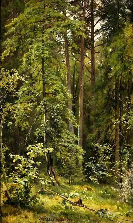En skog - Ivan Chichkine

Source:
Une forêt - Ivan Chichkine