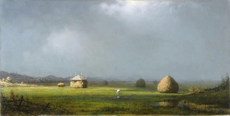 En overskyet dag - Martin Johnson Heade

Source:
Une journée nuageuse - Martin Johnson Heade