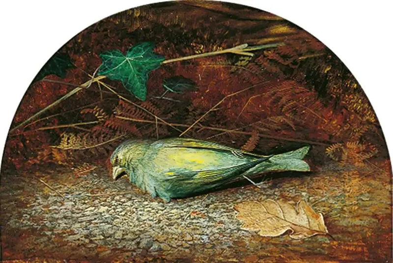 En død fuglekvitrende - John Atkinson Grimshaw

Source:
Une linotte morte - John Atkinson Grimshaw