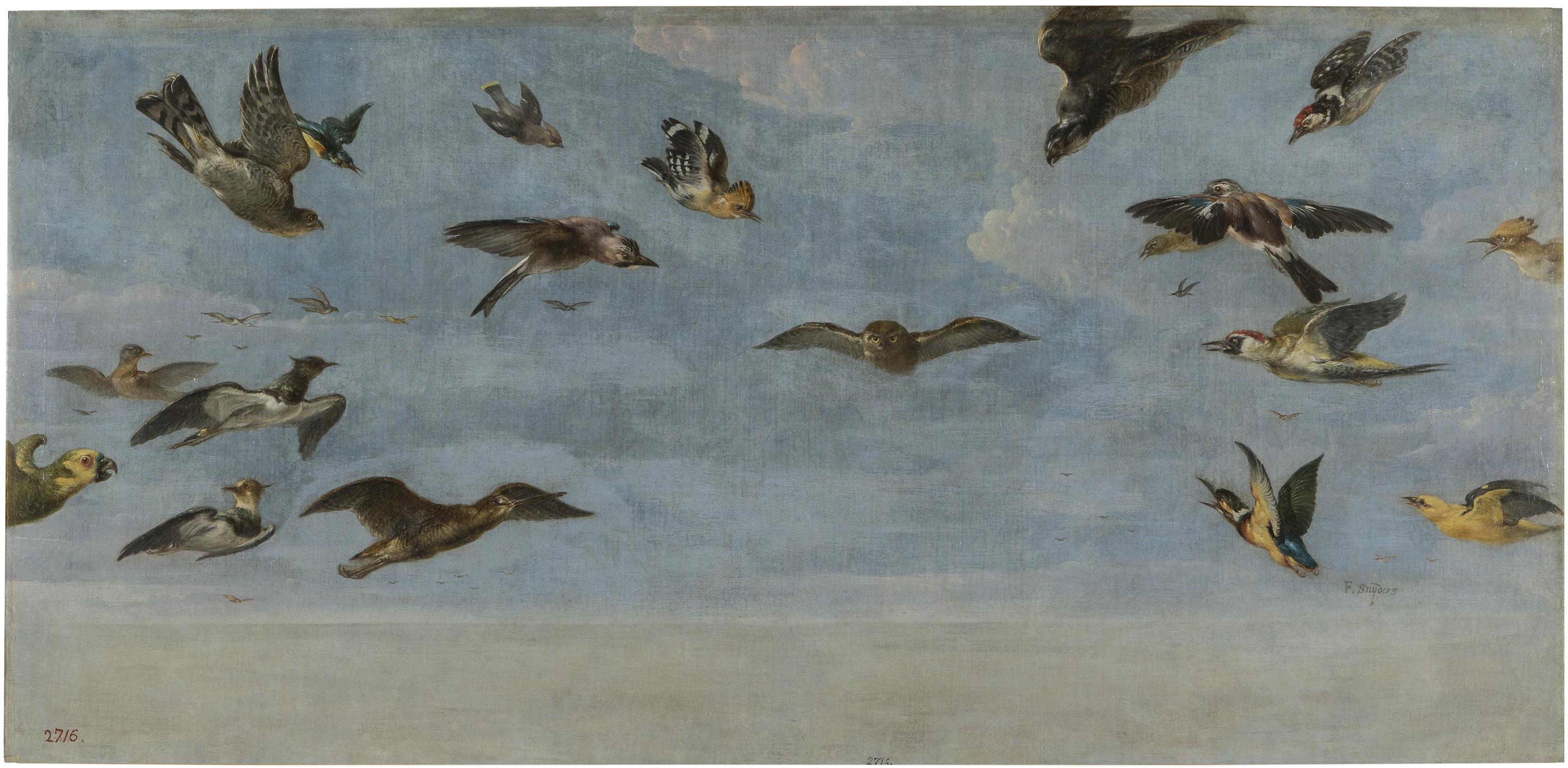 Une petite chouette et une volée d'oiseaux - Frans Snyders image 1 copie de tableau peinte à la main
