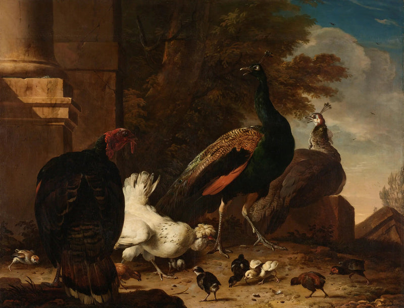 En høne med påfugler og en kalkun - Melchior de Hondecoeter