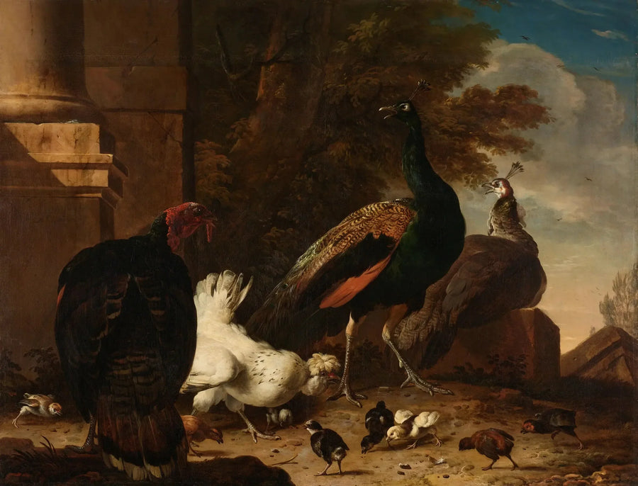 En høne med påfugler og en kalkun - Melchior de Hondecoeter