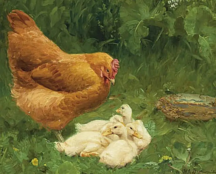 En høne og noen småender. - H. A. Brendekilde

Source:
Une poule et quelques canetons. - H. A. Brendekilde