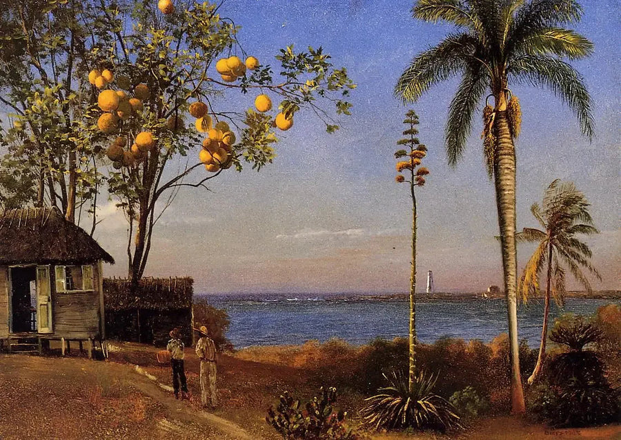 Utsikt over Bahamas, olje på papir limt på papp, 48,58 x 35,24 cm - Albert Bierstadt

Source:
Une vue aux Bahamas, huile sur papier marouflé sur boa, 48,58 x 35,24 cm - Albert Bierstadt