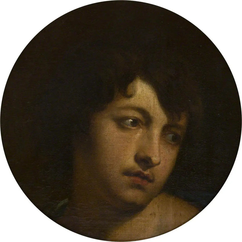 Van Dyck i rollen som Paris - Antoine van Dyck

Source:
Van Dyck dans le rôle de Paris - Antoine van Dyck