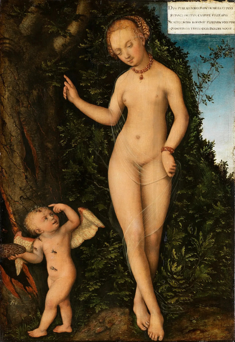 Venus med Cupido, honningtyven - Lucas Cranach den eldre