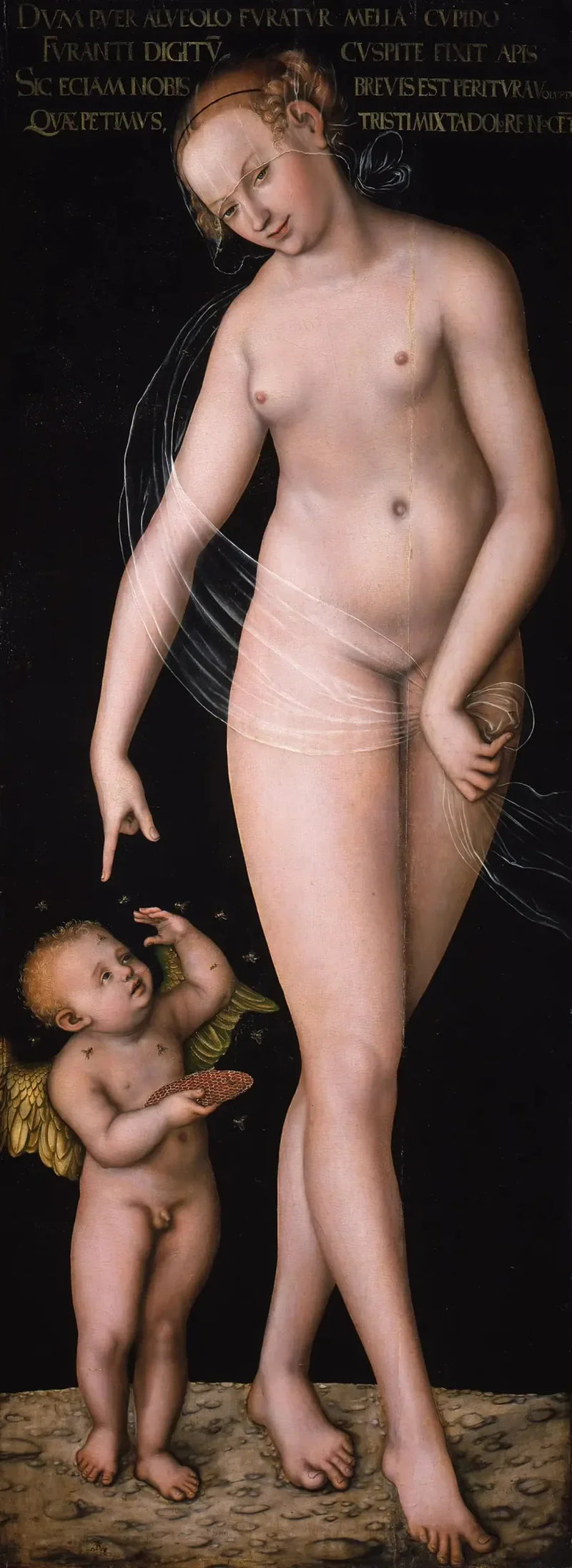 Venus med Cupido, honningtyven - Lucas Cranach den eldre