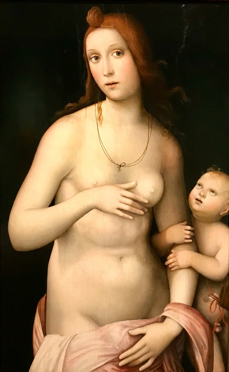 Venus og Cupido - Francesco Francia