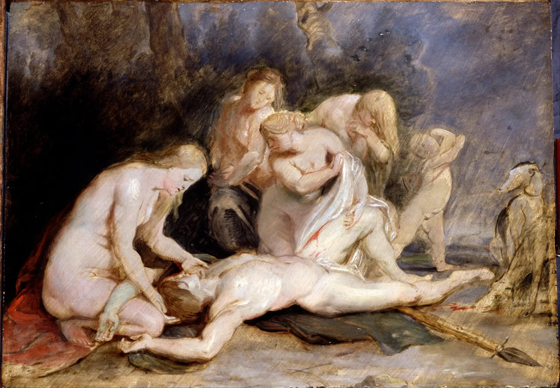 Venus gråtende Adonis - Peter Paul Rubens