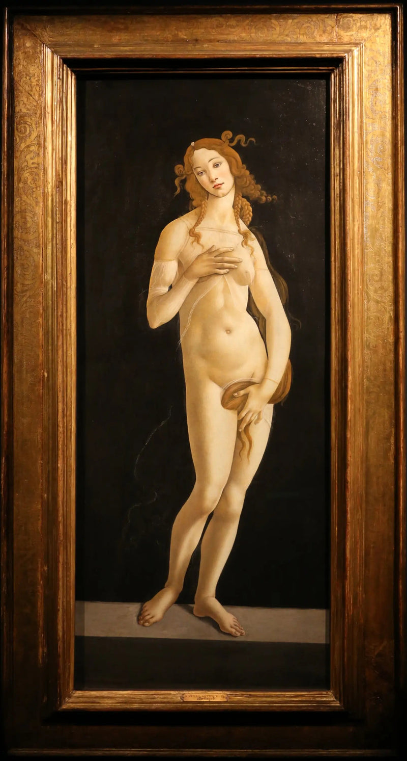 Vener pudisk - Sandro Botticelli