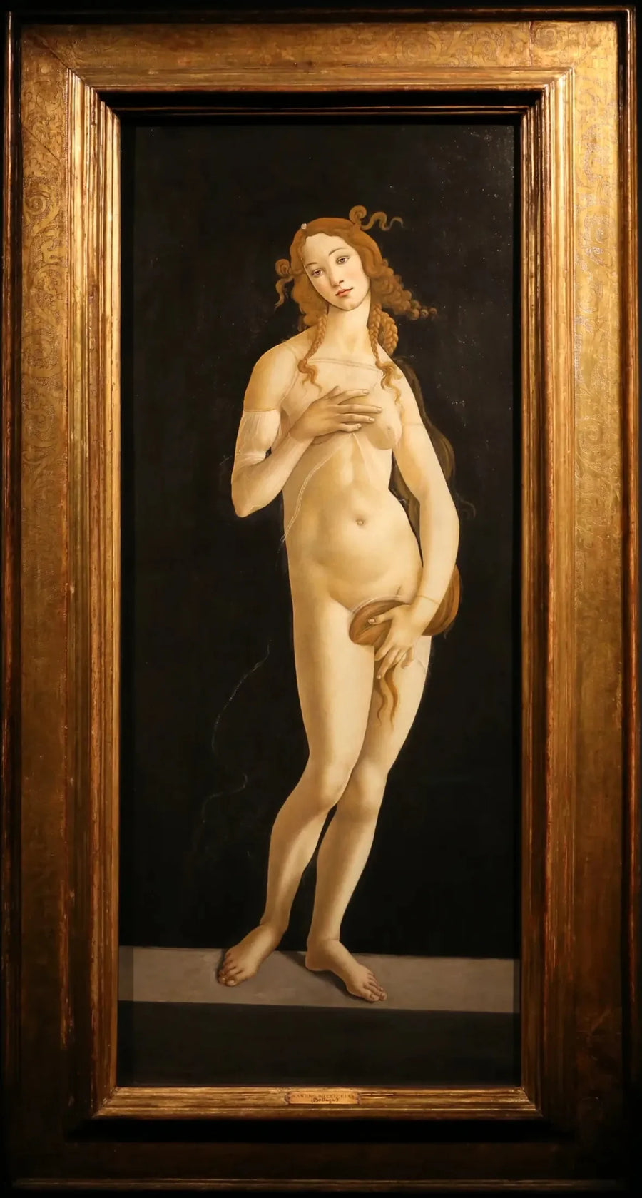 Vener pudisk - Sandro Botticelli