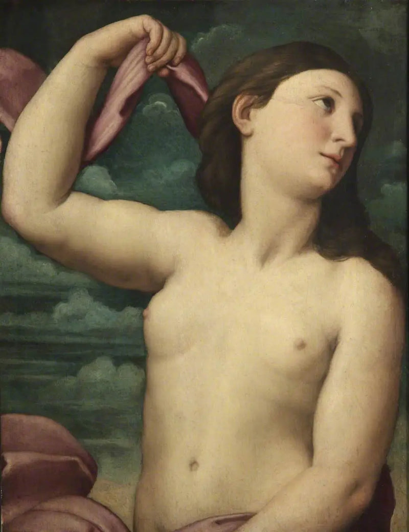 Venus - Raphael Sanzio