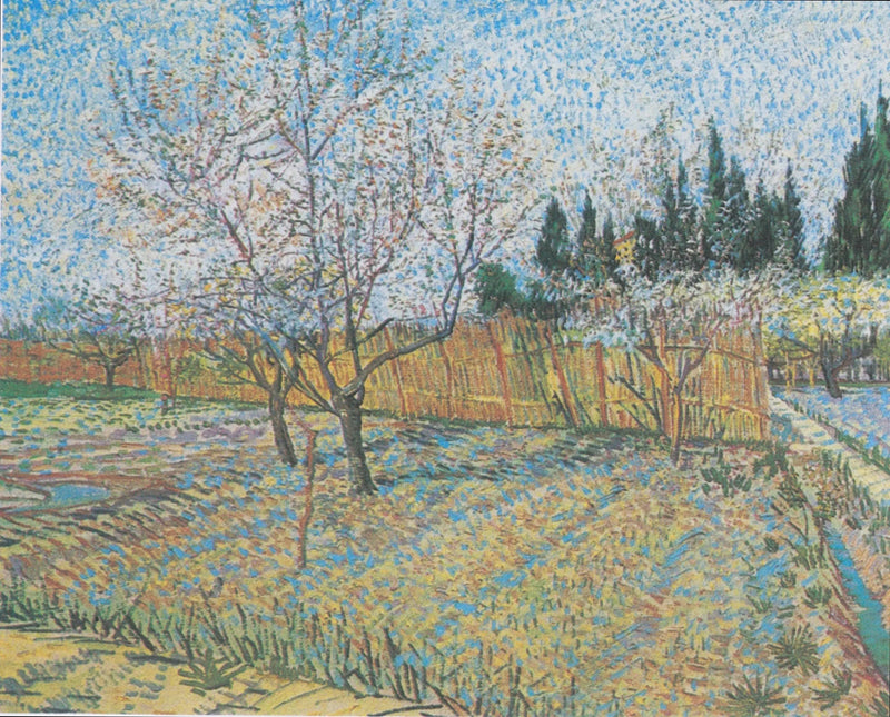 Frukthage med sypresser - Vincent van Gogh