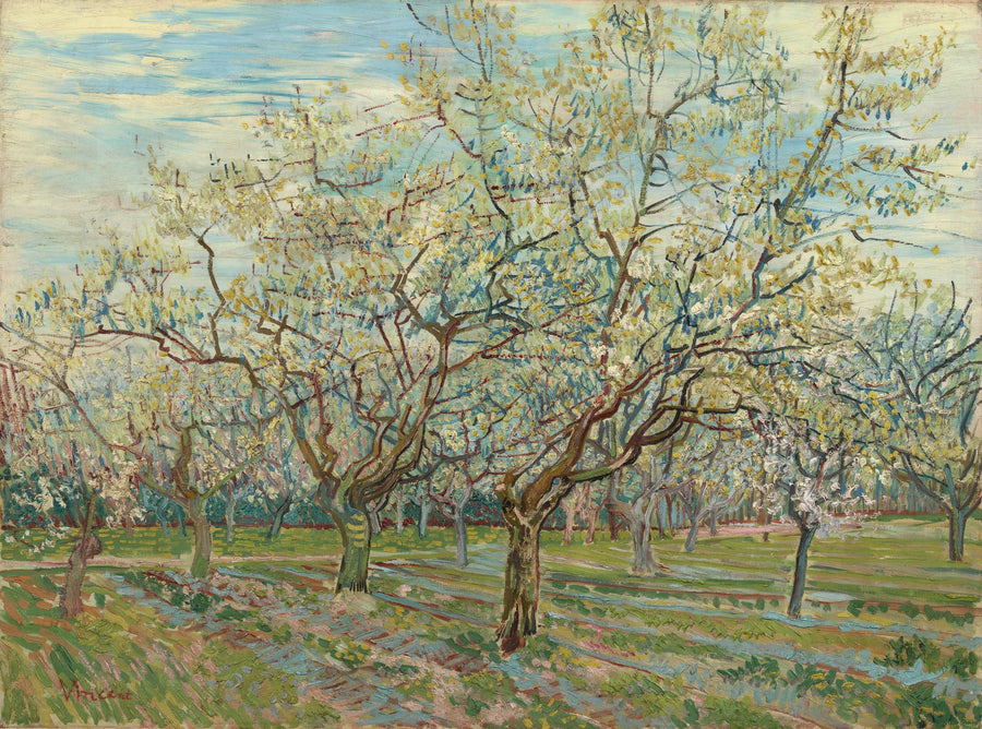 Den hvite frukthagen - Vincent van Gogh