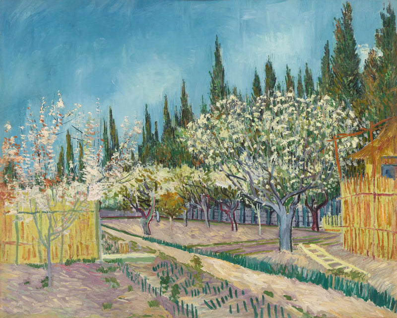 Frukthage i blomst, omgitt av sypresser - Vincent van Gogh