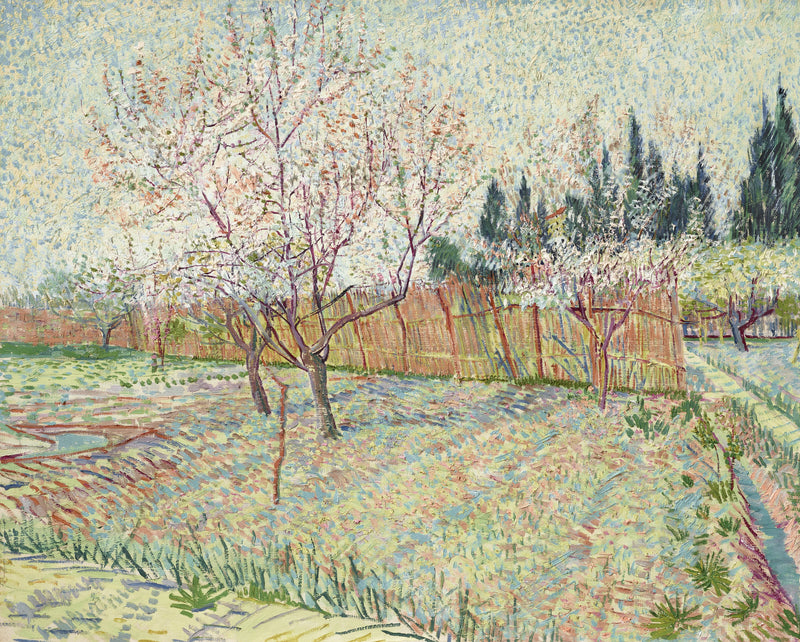 Frukthage med sypresser - Vincent van Gogh