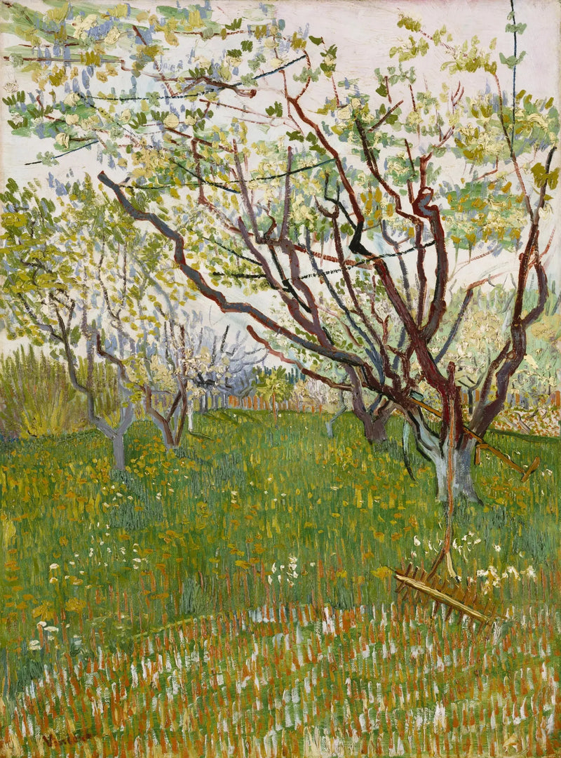 Blomstrende frukthage - Vincent van Gogh