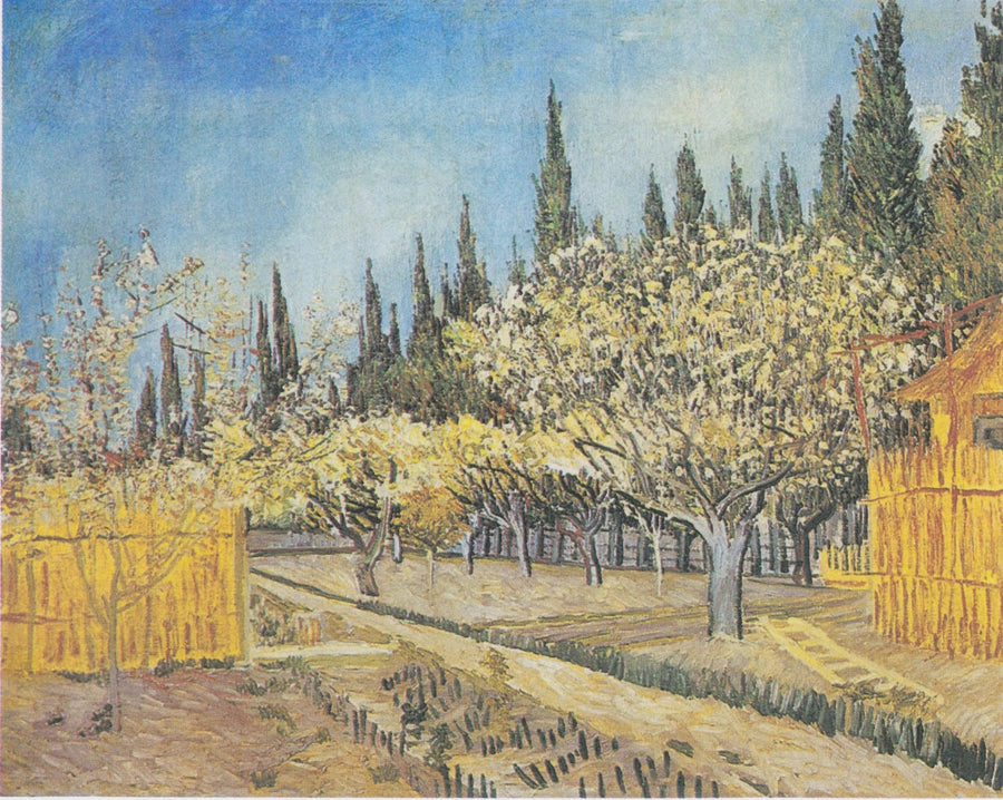 Frukthage i blomst, omgitt av sypresser - Vincent van Gogh