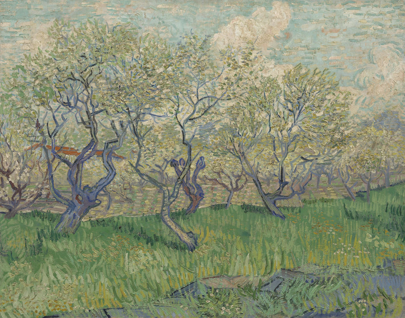 Frukthage i blomst - Vincent van Gogh
