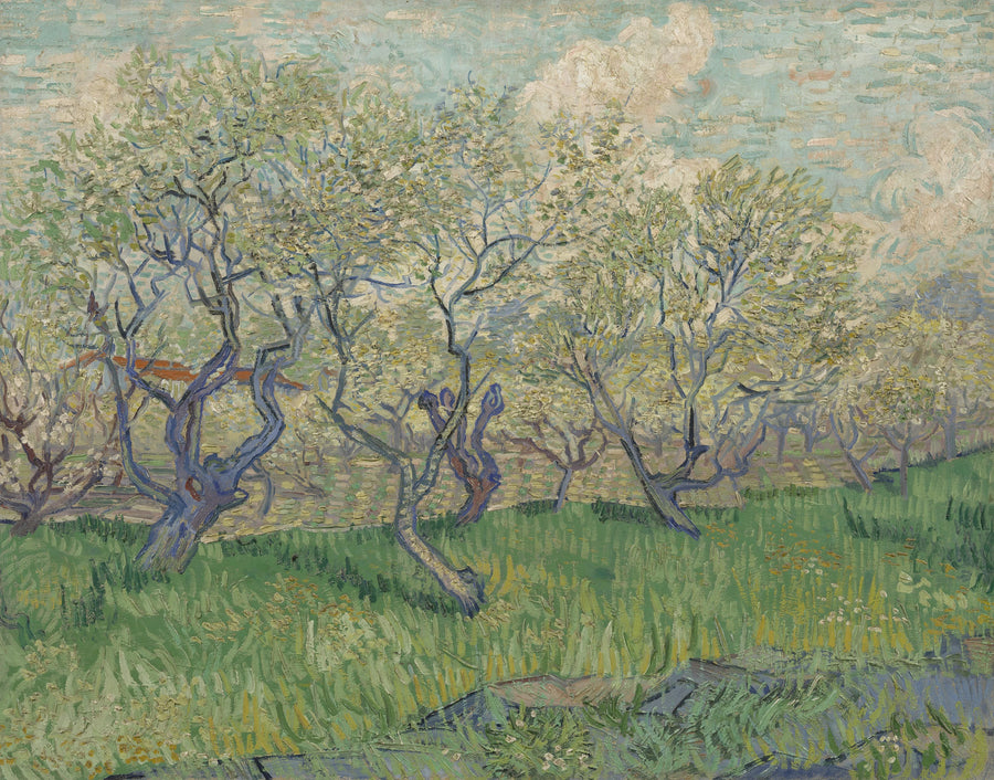Frukthage i blomst - Vincent van Gogh