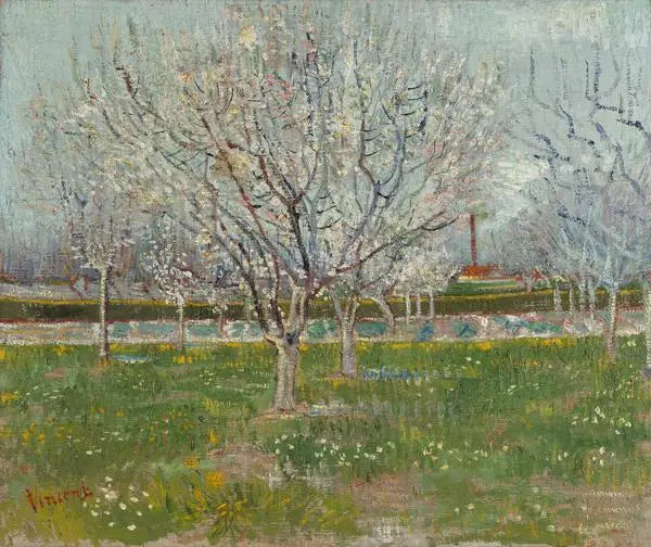 Frukthage i blomst - Vincent van Gogh