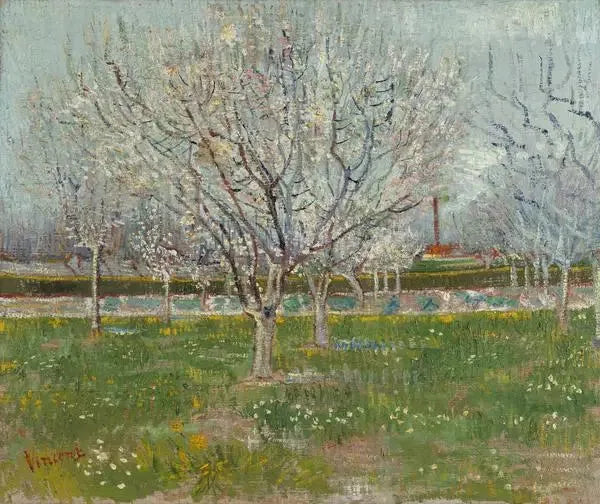 Frukthage i blomst - Vincent van Gogh