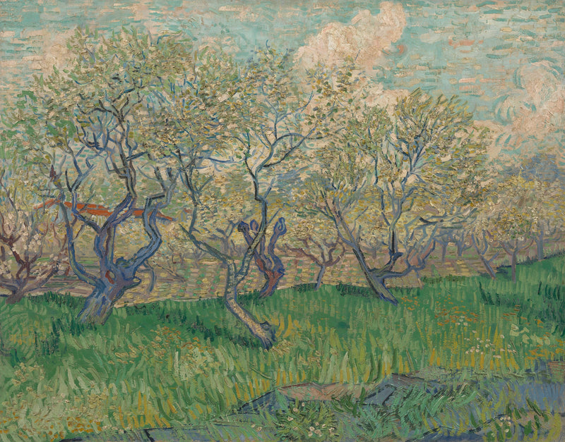 Frukthage i blomst - Vincent van Gogh
