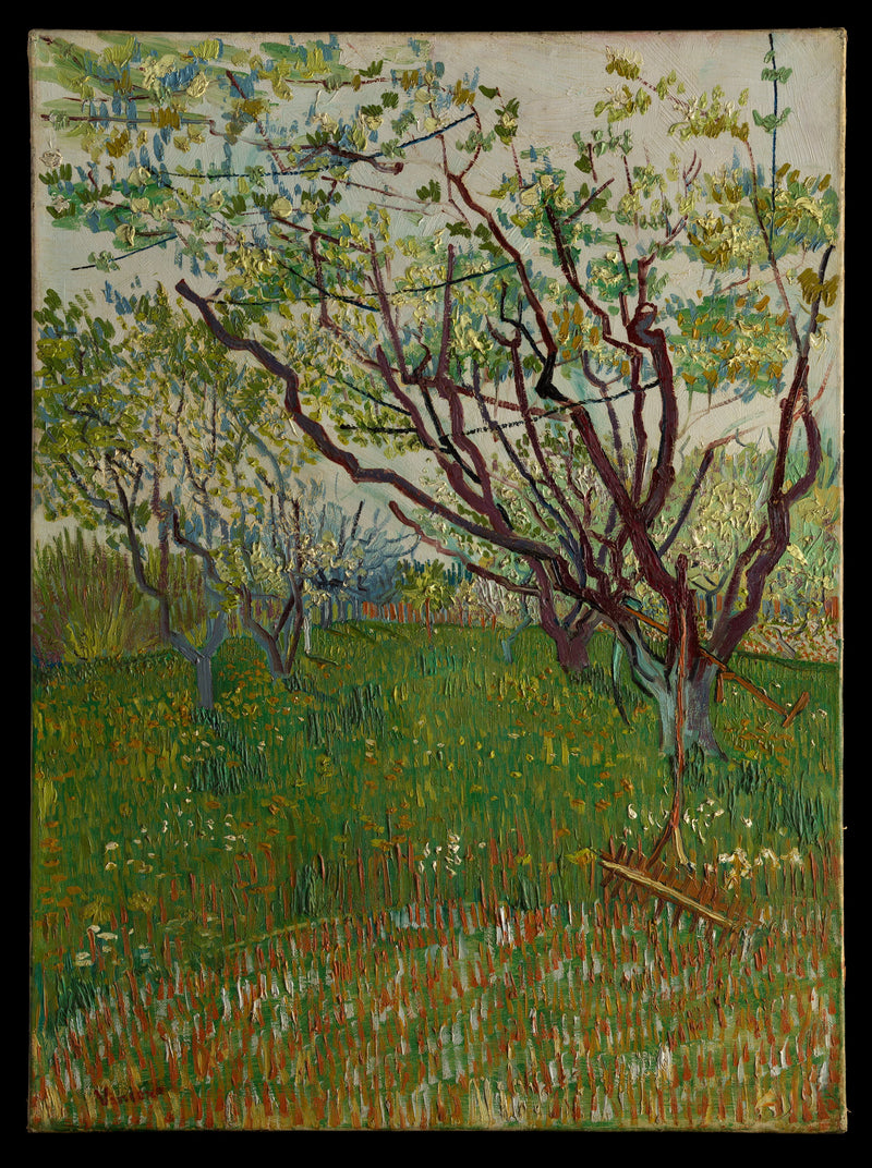 Blomstrende frukthage - Vincent van Gogh