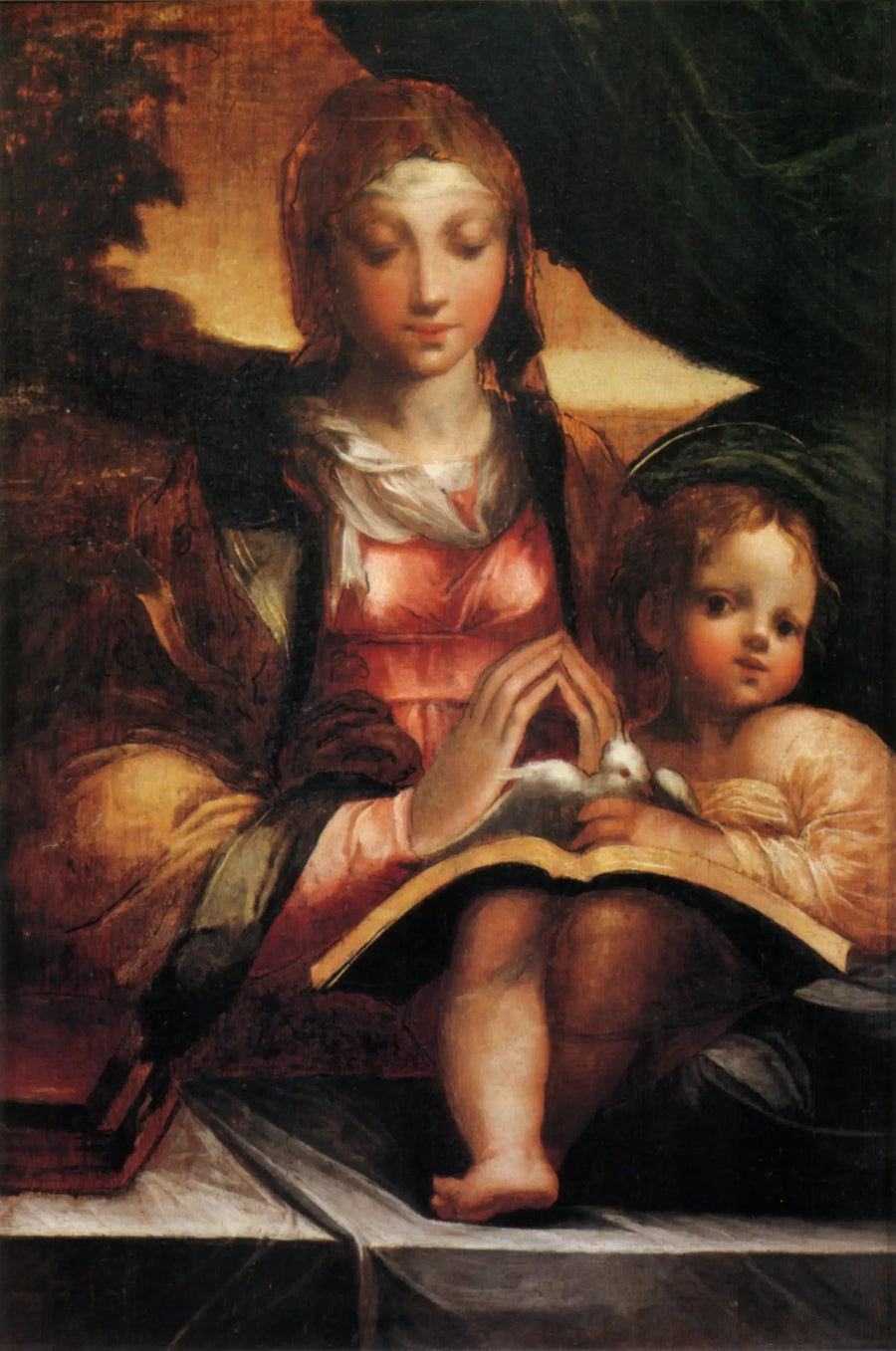 Jomfru med barnet - Parmigianino