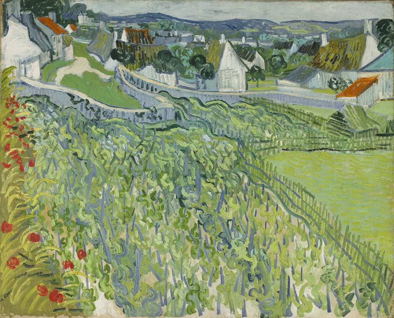 Vinmarker i Auvers - Vincent van Gogh