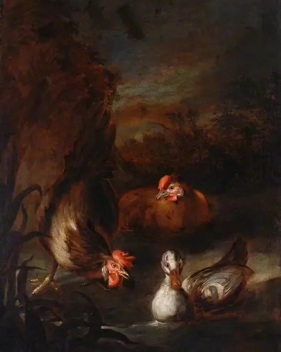 Fugl - Melchior de Hondecoeter