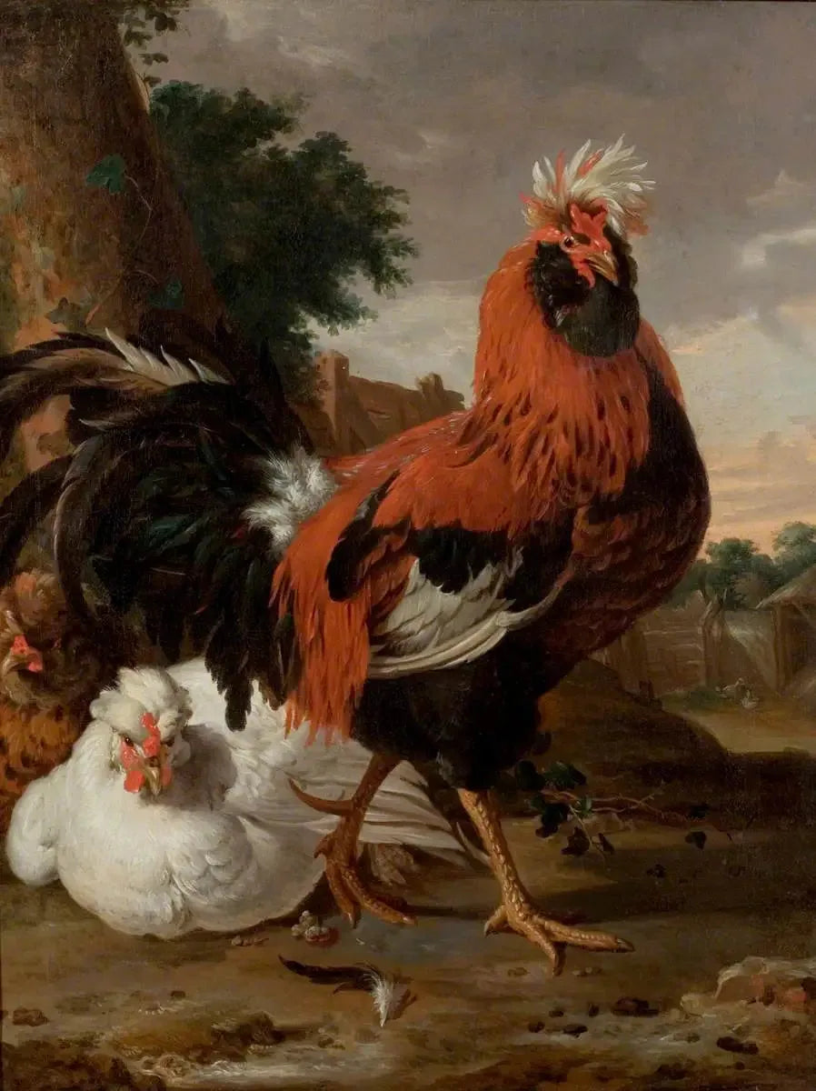Fugl - Melchior de Hondecoeter