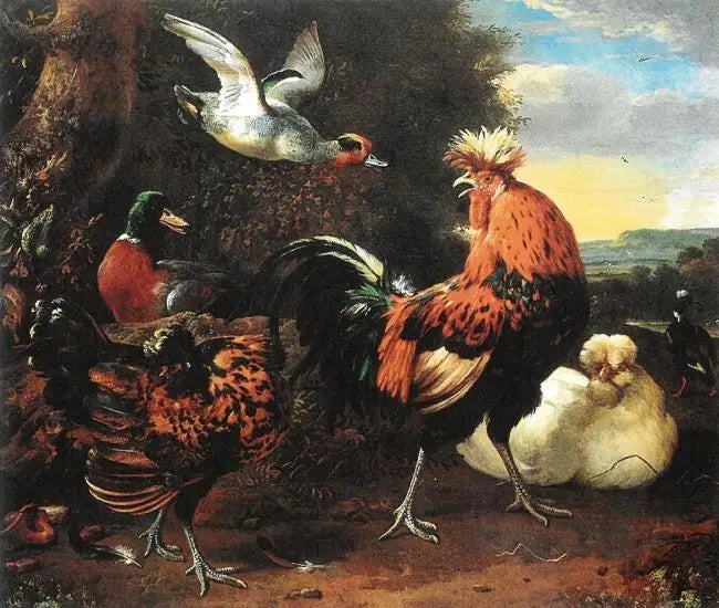 Fugl - Melchior de Hondecoeter