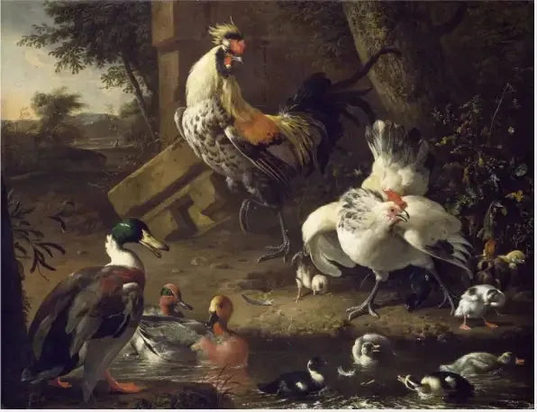Fugl - Melchior de Hondecoeter