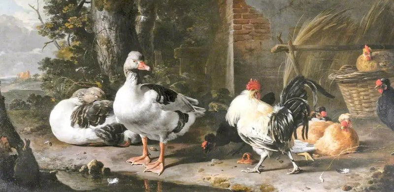 Fugler og gjess - Melchior de Hondecoeter