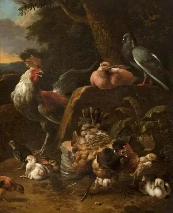 Fugler og duer - Melchior de Hondecoeter