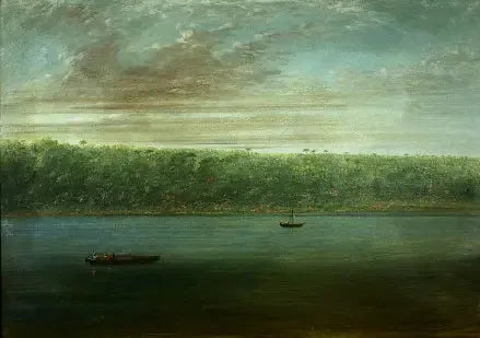 Utsikt over Amazonas bredd - Båtskisse - George Catlin

Source:
Vue de la rive de l'Amazone - Croquis de bateau - George Catlin