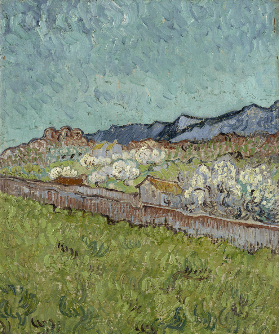 Utsikt over Alpilles - Vincent van Gogh