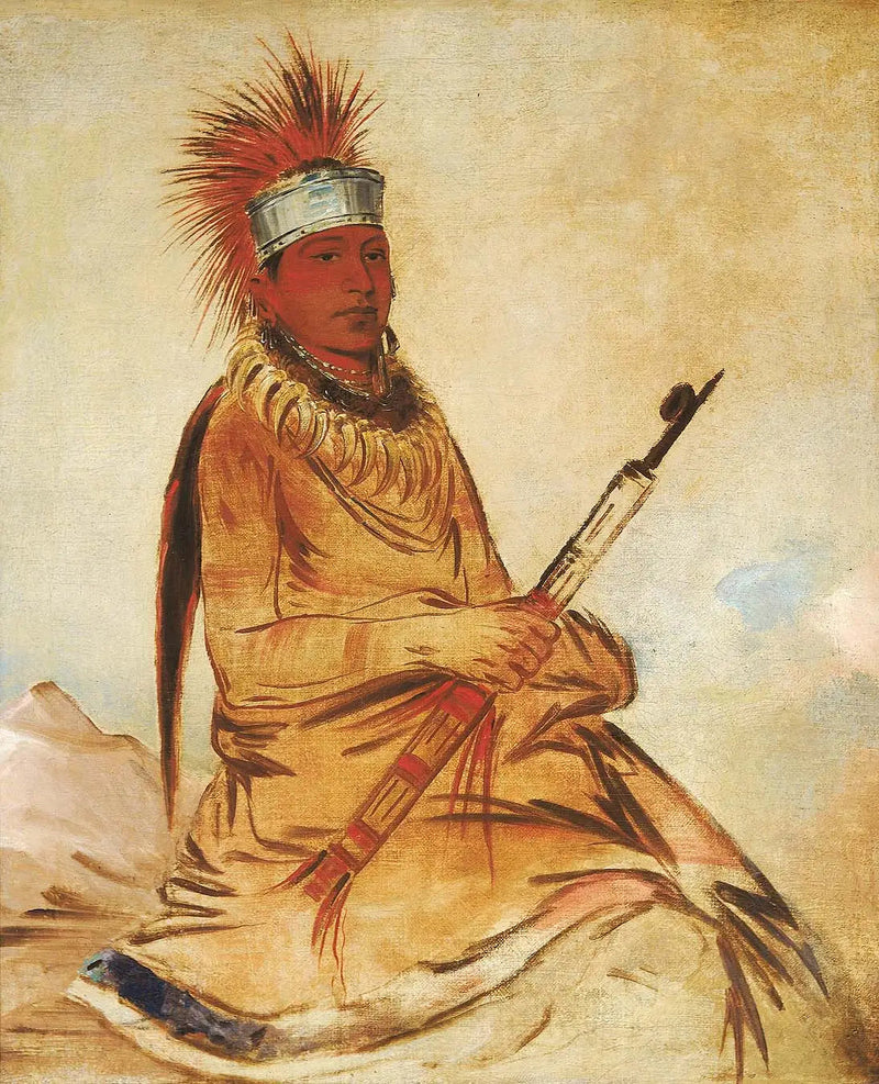 W'y-ee-yogh, fornuftsmann, en god mann - George Catlin

Source:
W'y-ee-yogh, homme de bon sens, un brave - George Catlin