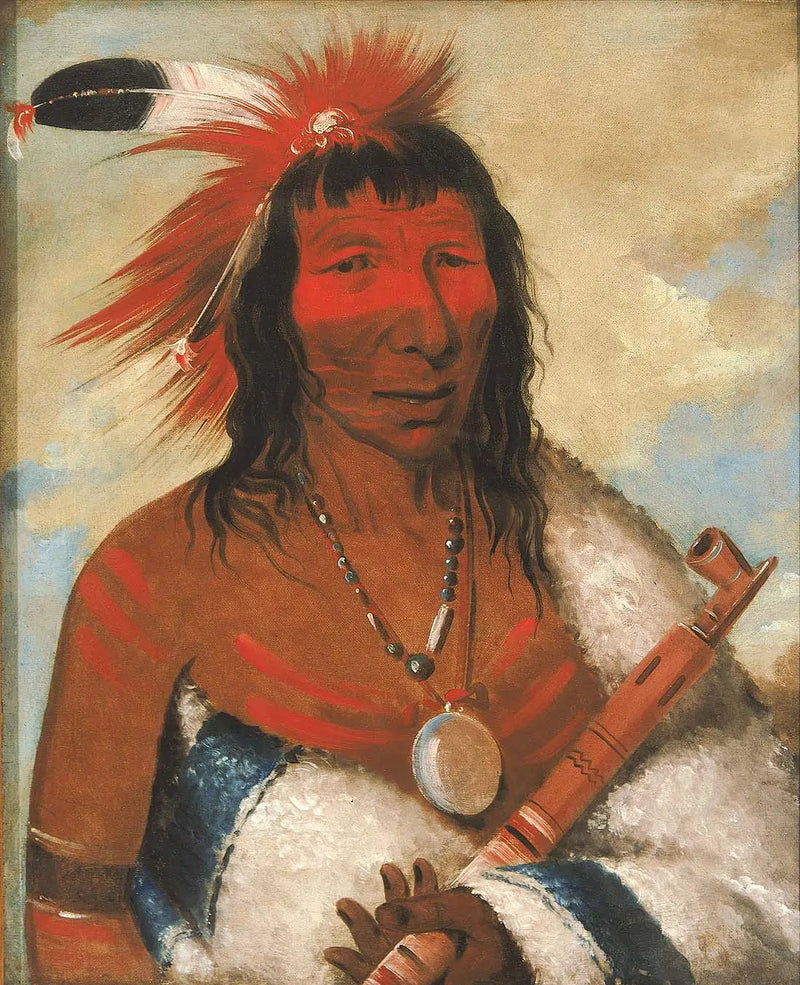 Wá-nah-de-túnk-ah, Grand Aigle (eller Chien Noir), leder av banden O-hah-kas-ka-toh-y-an-te - George Catlin

Source:
Wá-nah-de-túnk-ah, Grand Aigle (ou Chien Noir), Chef de la bande O-hah-kas-ka-toh-y-an-te - George Catlin