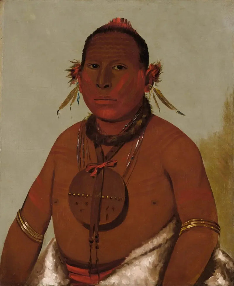 Wa-sáw-me-saw, brølende torden, den yngste sønnen til den svarte hauk - George Catlin

Source:
Wa-sáw-me-saw, Tonnerre rugissant, le plus jeune fils du Faucon noir - George Catlin