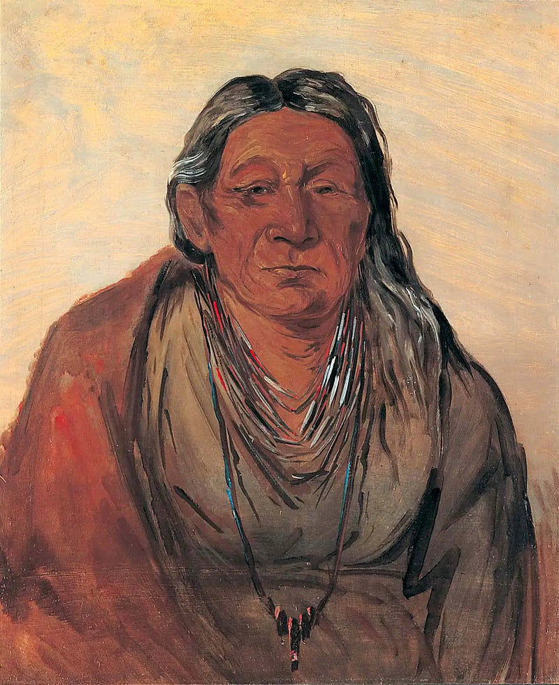 Wah-pe-séh-see, Mors av Sjefen - George Catlin

Source:
Wah-pe-séh-see, Mère du Chef - George Catlin