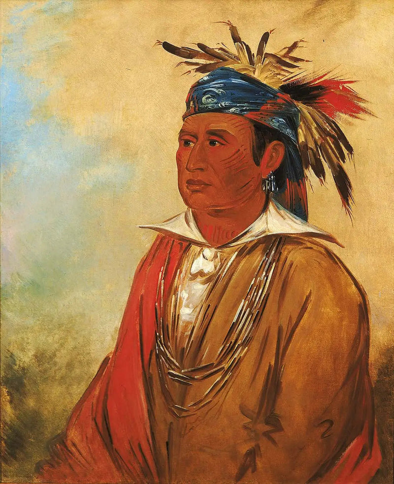Wah-pón-jee-a, Le Cygne, en kriger - George Catlin

Source:
Wah-pón-jee-a, Le Cygne, un Guerrier - George Catlin
