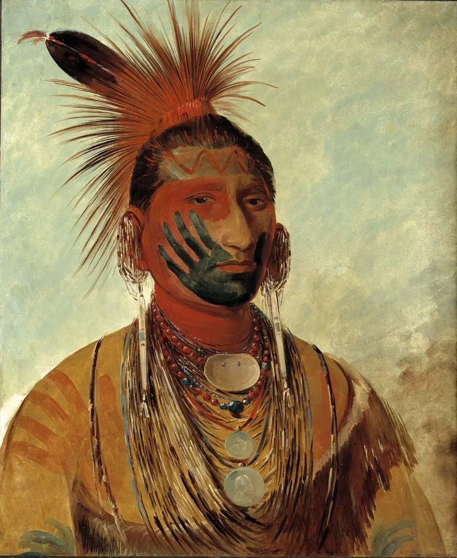 Wash-ka-mon-ya, Fast Dancer, en kriger - George Catlin

Source:
Wash-ka-mon-ya, Fast Dancer, un guerrier - George Catlin