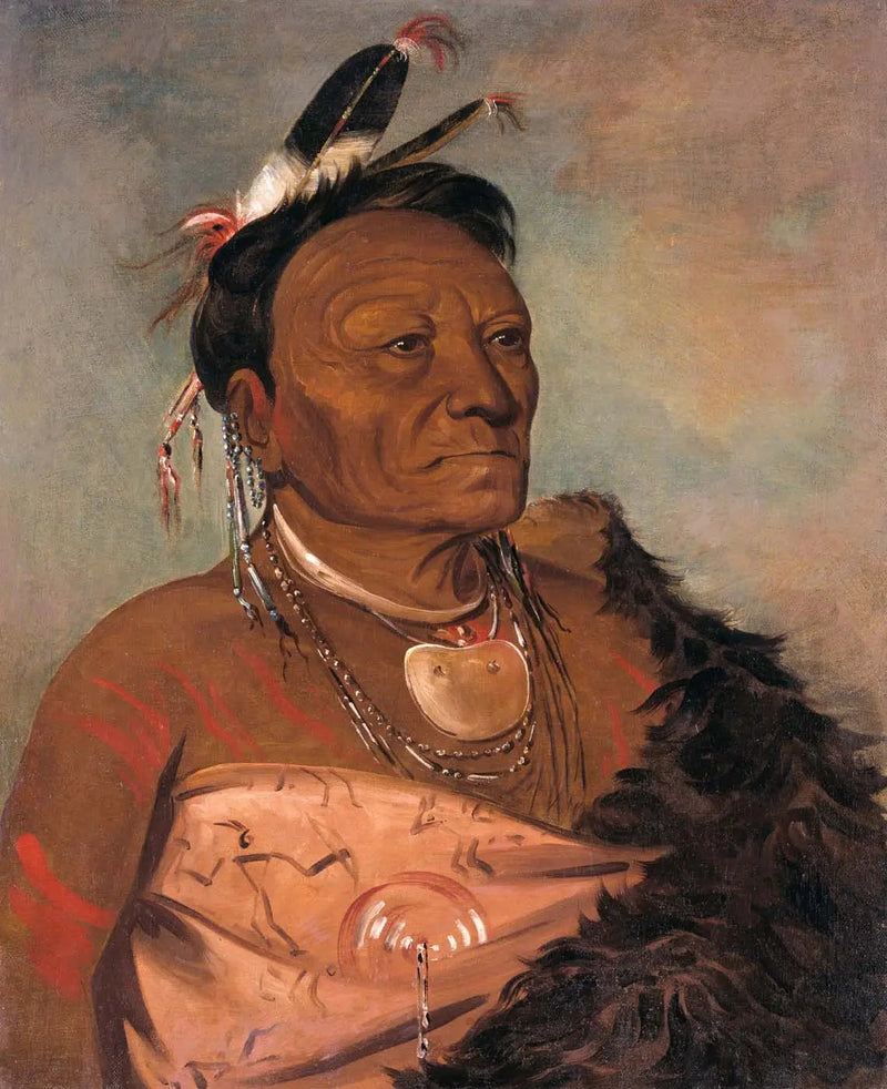 Wee-tá-ra-shá-ro, leder av stammen - George Catlin

Source:
Wee-tá-ra-shá-ro, chef de la tribu - George Catlin