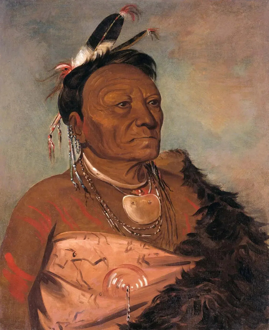 Wee-tá-ra-shá-ro, leder av stammen - George Catlin

Source:
Wee-tá-ra-shá-ro, chef de la tribu - George Catlin