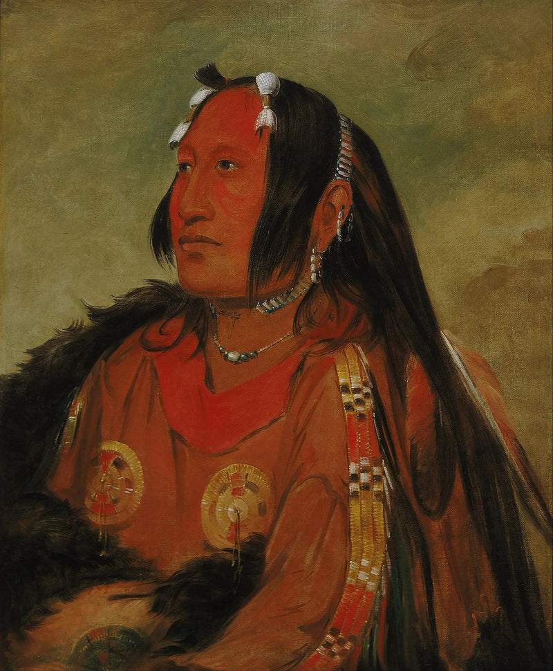 Wi-jún-jon, Pigeonhode (Lys), en ung utøver av krigeren - George Catlin

Source:
Wi-jún-jon, Tête d'œuf de pigeon (La Lumière), un jeune guerrier distingué - George Catlin