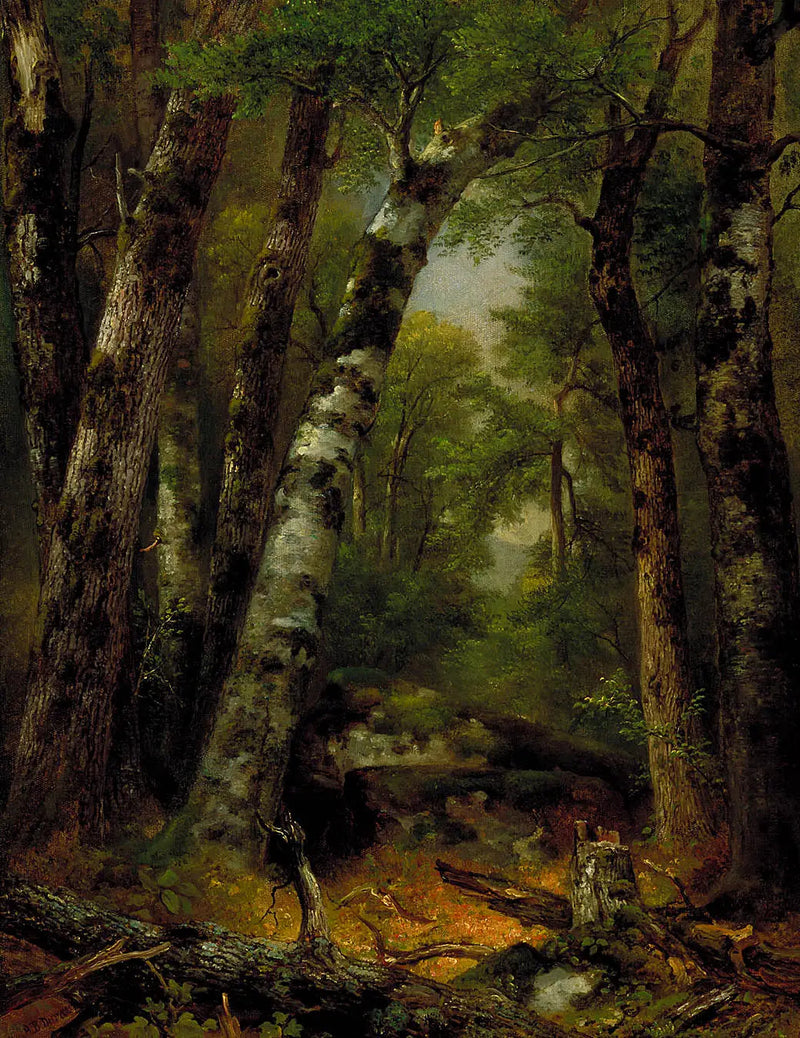 Woodland Glen - Asher Brown Durand

Source:
Woodland Glen - Asher Brown Durand