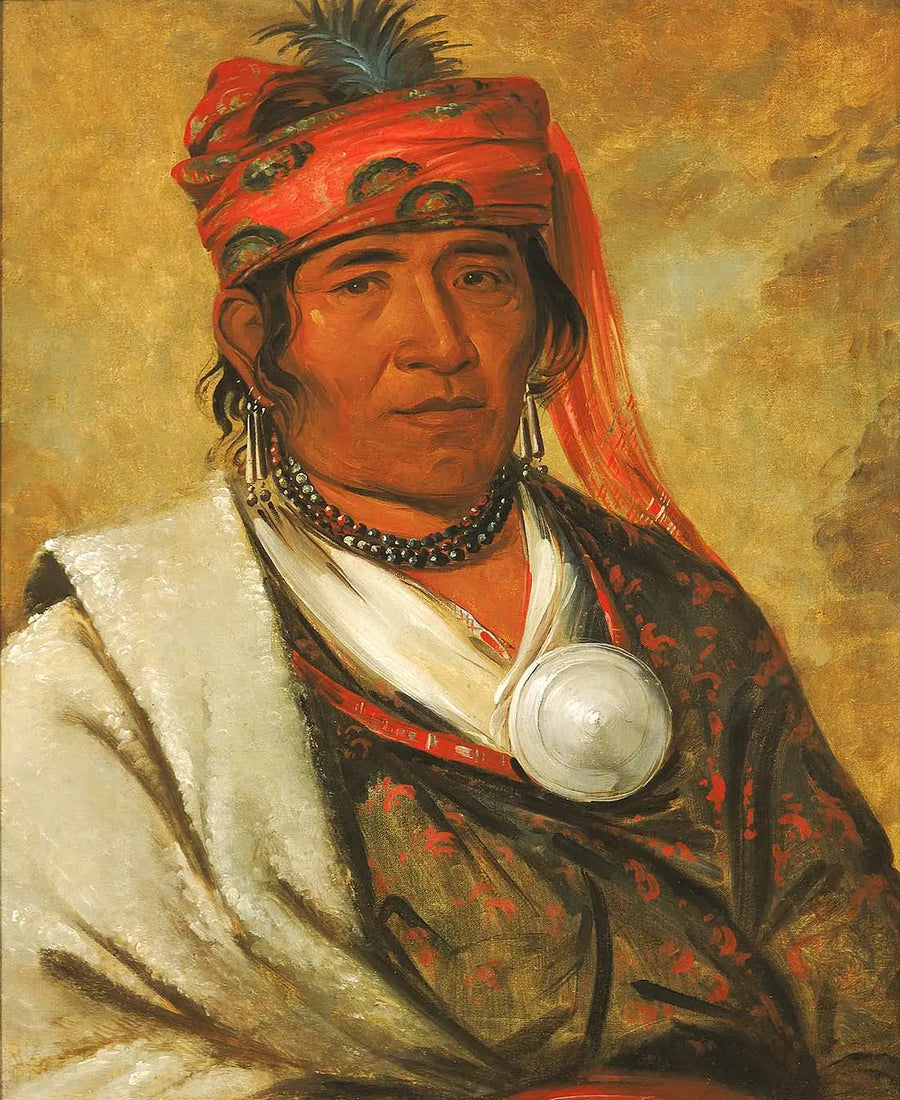 Teknologi, Skyen, en sjef - George Catlin

Source:
Ye-hów-lo-gee, Le Nuage, un Chef - George Catlin
